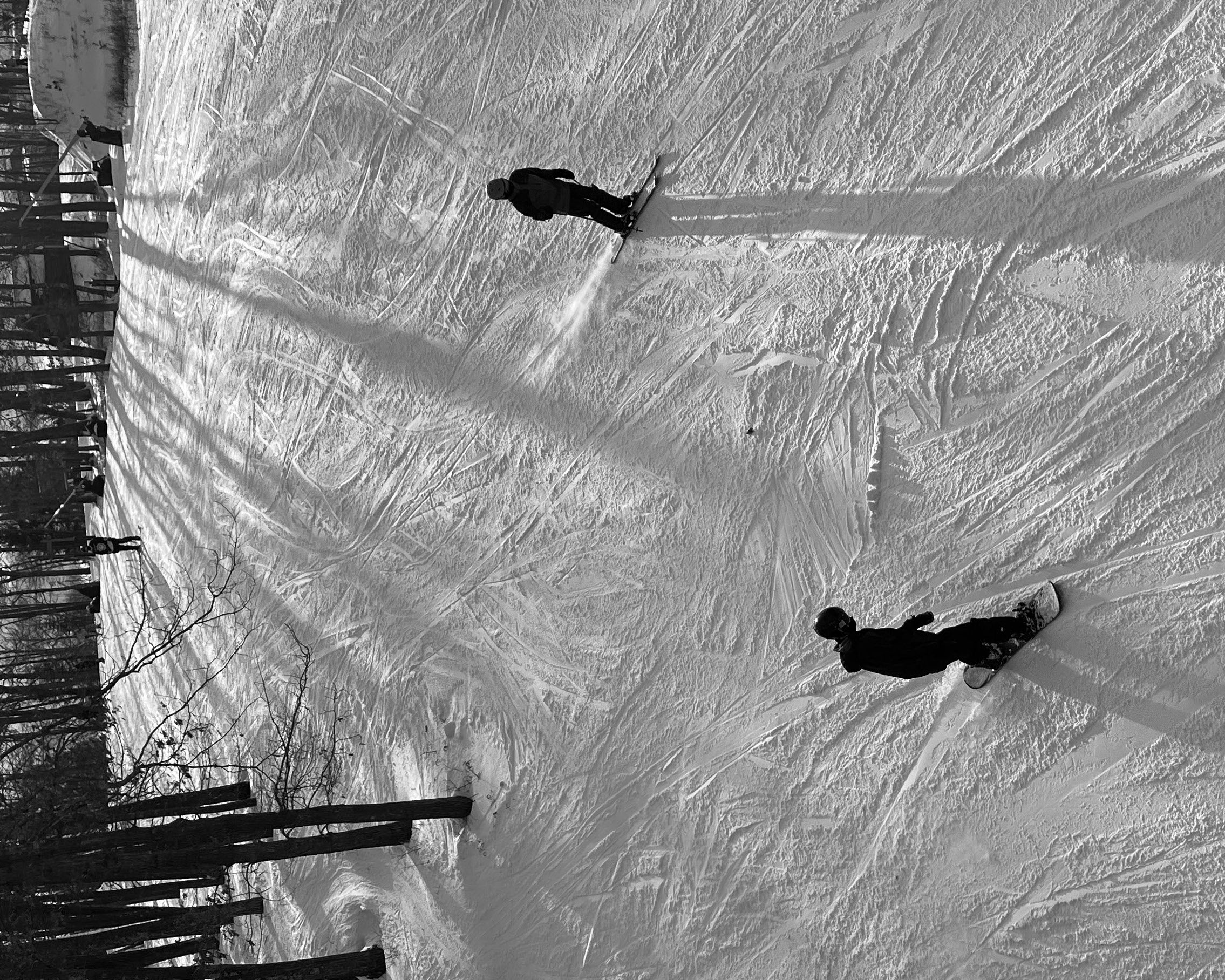 Photography project 1